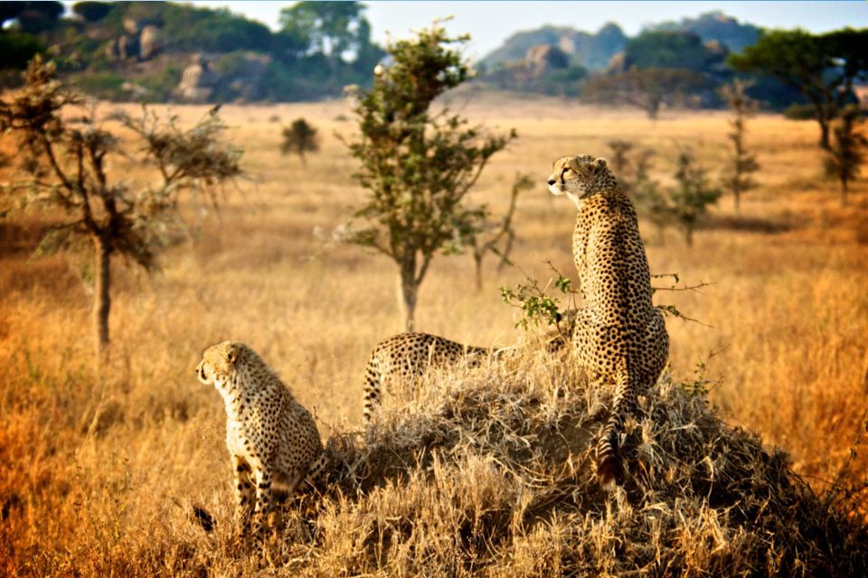 3 Days Tanzania Active Safari