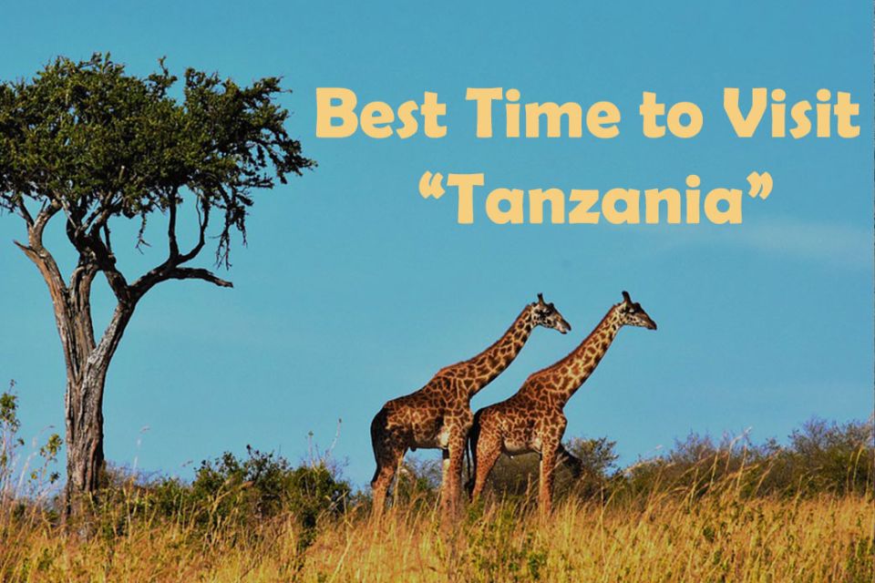Best Time to Visit Tanzania 
