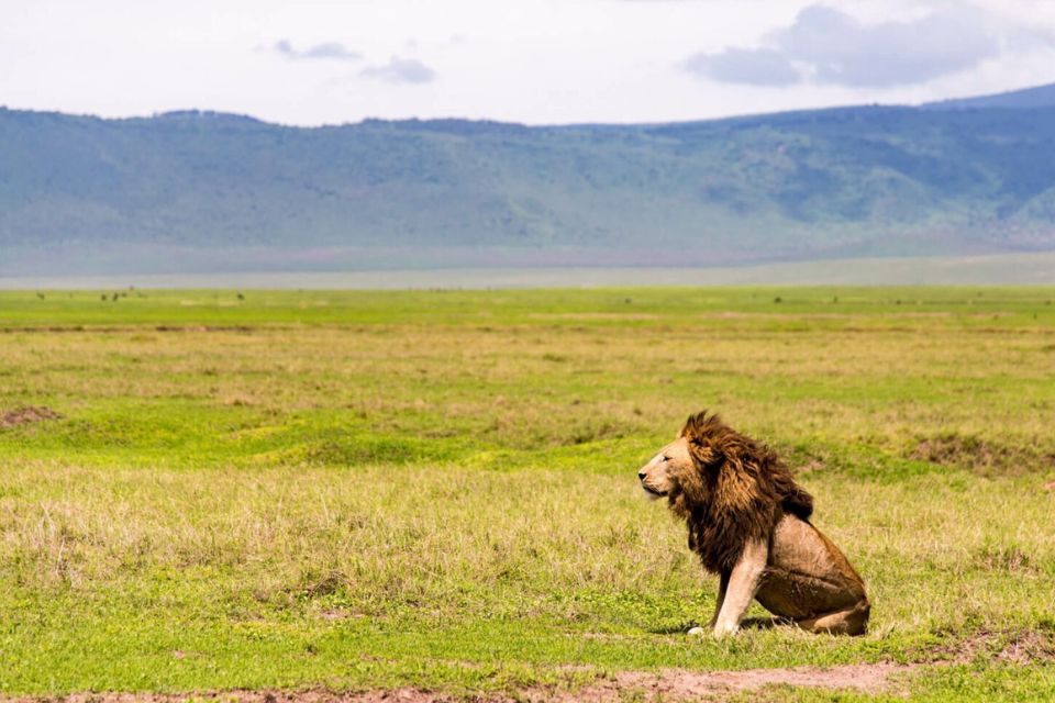 Ngorongoro Crater Day Trips